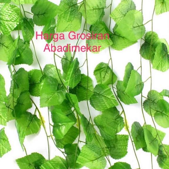☈ Daun rambat/aun Artifical / Daun Plastik /Daun merambat/Daun anggur/D-23 /1lusin ♝