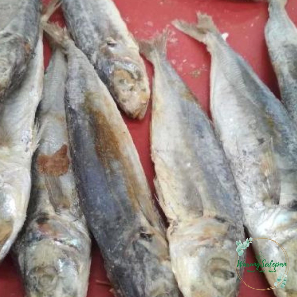 

ikan asin japu segar baru cikarang utara