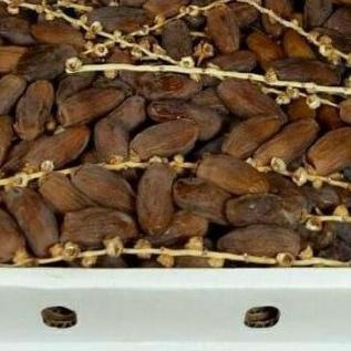 

❂ Kurma fruit Tunisia tangkai ukuran 1kg exp2024 ✵