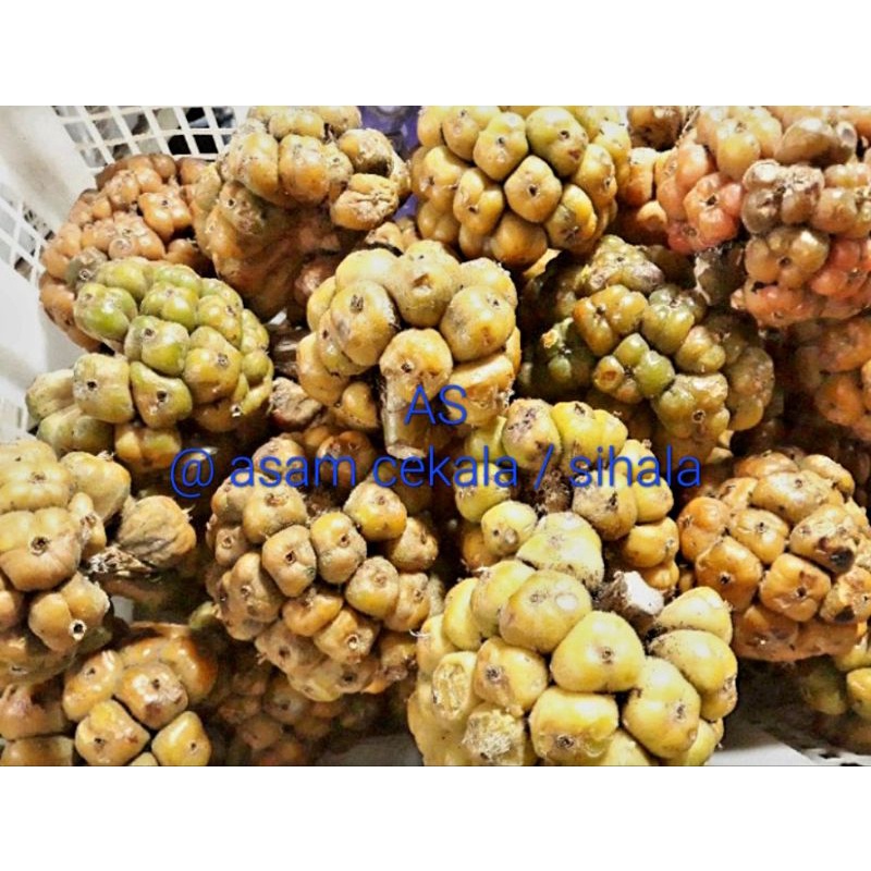 

Asam Cekala / Asam cikala / Asam patikala / Asam Sihala 250 gram