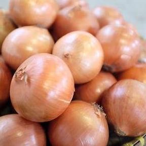 

I96 Bawang Bombay ukuran Sedang 500 gram TREND ❄