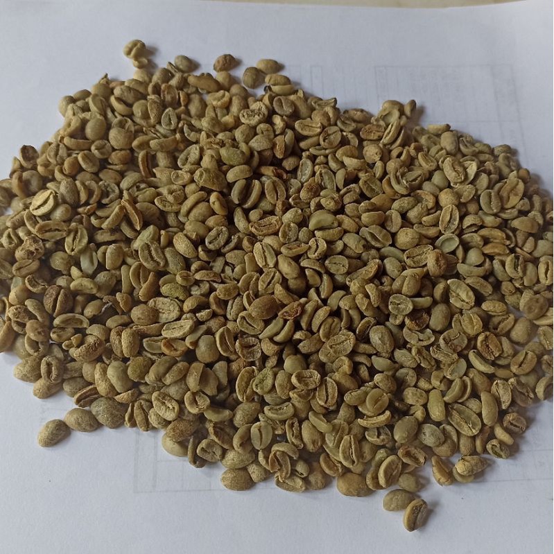 Kopi Bali Arabika Kintamani Green Bean fullwash Grade 2