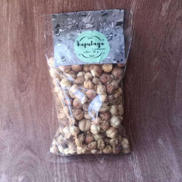 

M34 KAPULAGA / KAPOLAGA / KAPU LAGA BEST SELLER ⇭