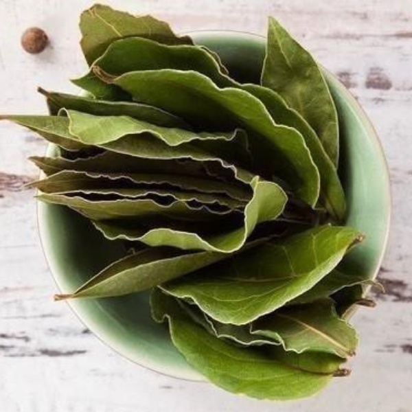 Daun Salam Kering 25 Gram Dried Bay Leaf Daun Salam Kering Premium Pilihan Original 100% Asli Bumbu Rempah Premium Masakan Dapur TERMURAH TERLARIS