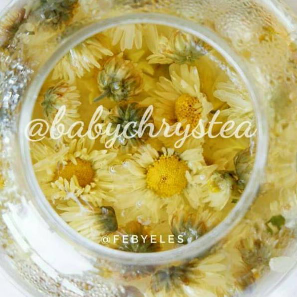 

♘ Chrysanthemum Tea ➵