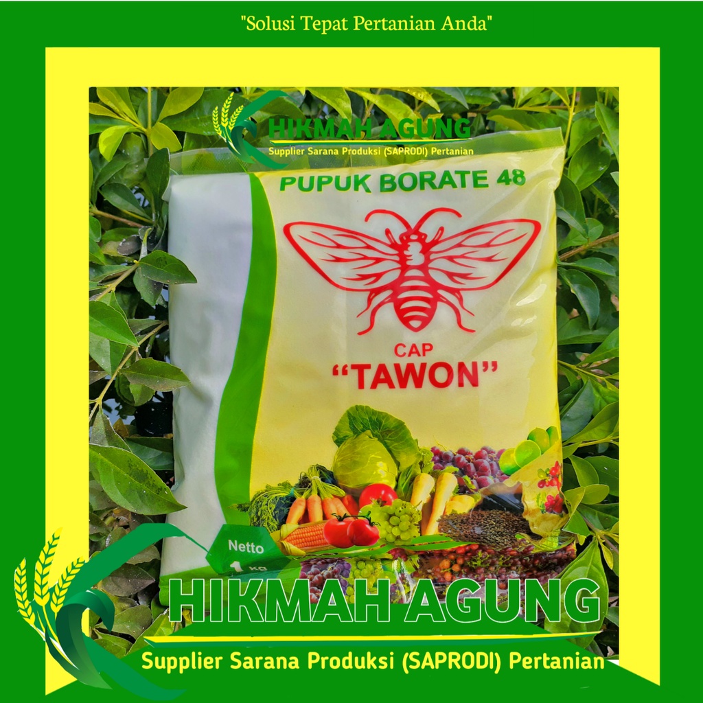 Pupuk Borate 48 cap Tawon kemasan 1 kg