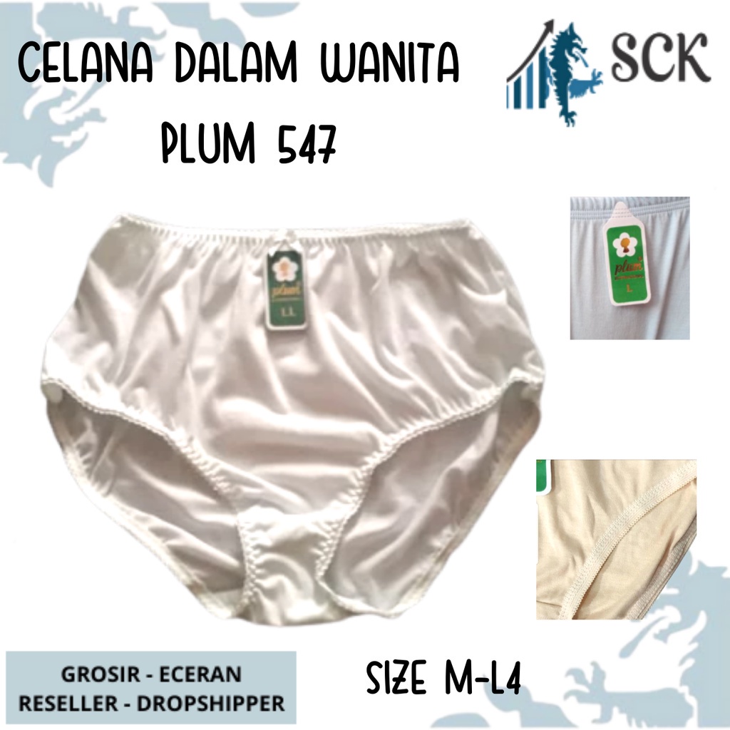 CELANA DALAM Wanita PLUM 547 / CD Karet Renda Warna Muda Ukuran JUMBO / Pakaian Dalam Wanita Ori - sckmenwear GROSIR