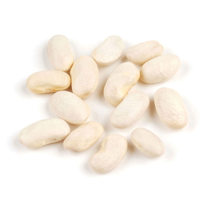 Kacang Canellini Putih / White Kidney Bean (100 gram) by Granology