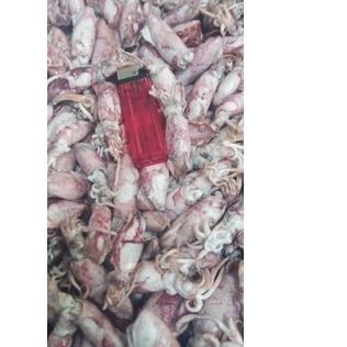 

☀ PROMO Cumi Asin beby 1kg/beby cumi asin /cumi asin rebus kecil ◌