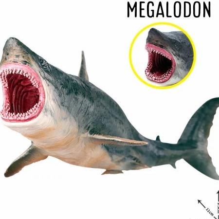 HIGH QUALITY - Mainan Simulasi Edukasi Ikan Hiu/ Mainan Megalodon
