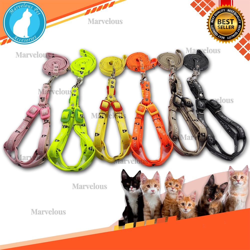 Harness Kucing Motif Bahan Premium Tali Sepatu / Tali Harness &amp; Brangus Kucing / Tali Penuntun Kucing / Aksesoris Kalung dan Harness