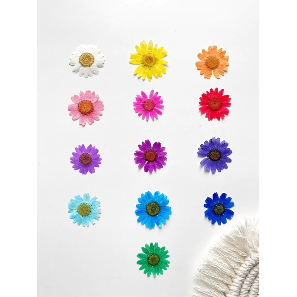 

Terlaris ✨ -Pembatas Buku Bookmark Resin Bunga Flower Customize Gift Souvenir- 2.2.23