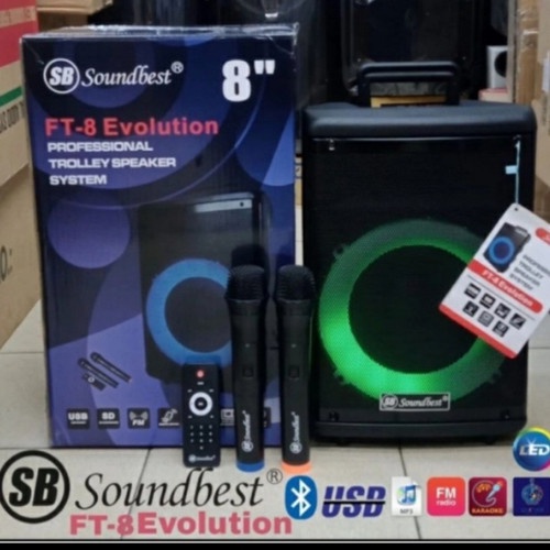 SPEAKER PORTABLE 8 INCH TARGA FREE 2 MIC WIRELESS  BLUETOOH USB SD RADIO