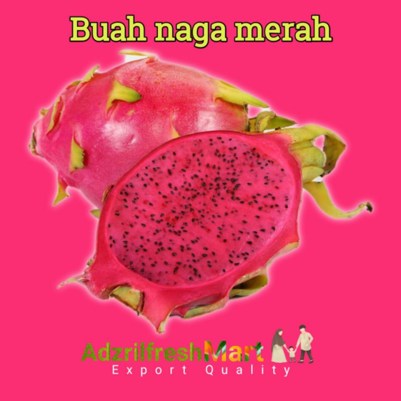 

BUAH NAGA MERAH PREMIUM FRESH