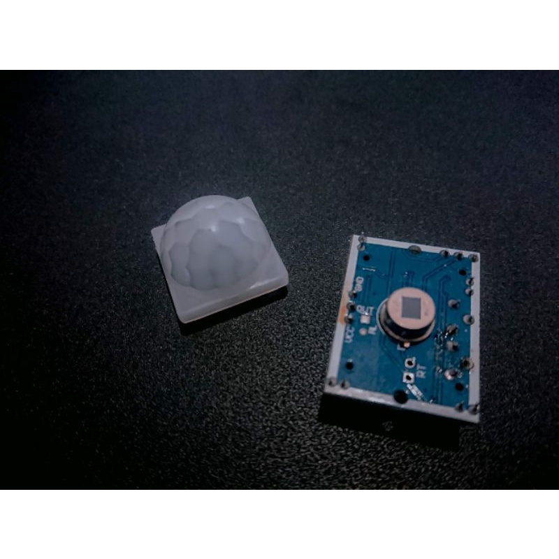 PIR-SENSOR