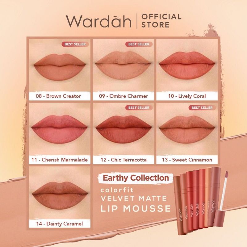 Wardah Colorfit Velvet Matte Lip Mousse