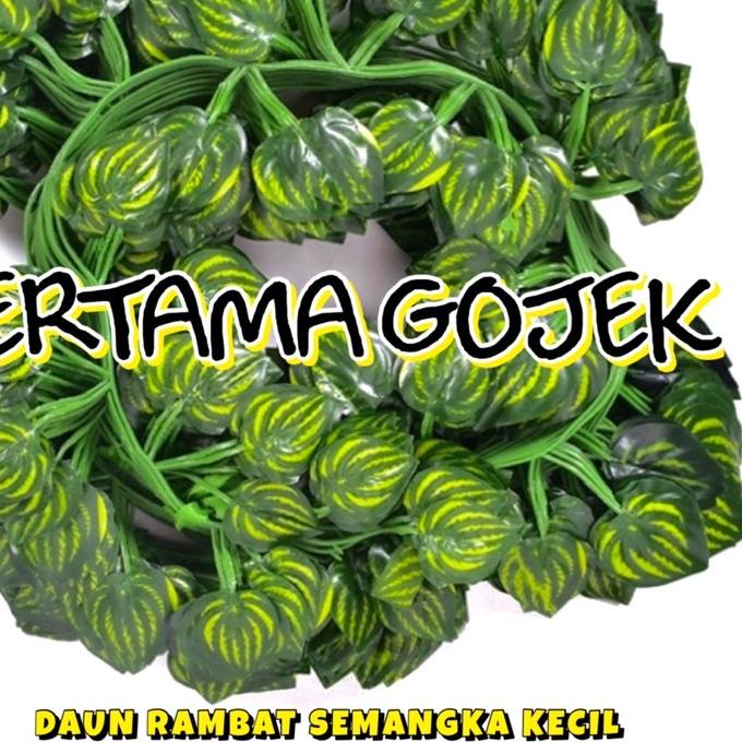 ➬ Harga Lusinan Rambat Kecil/ Daun Rambat Plastik/ Bunga Plastik/ Rumput Plastik/ Bunga Artificial/ 