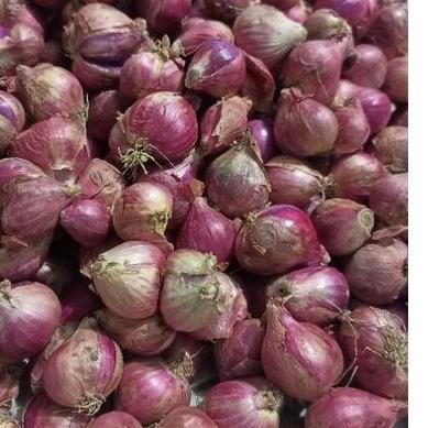 

✨COD✨ bawang merah murah 1kg freesh buruan