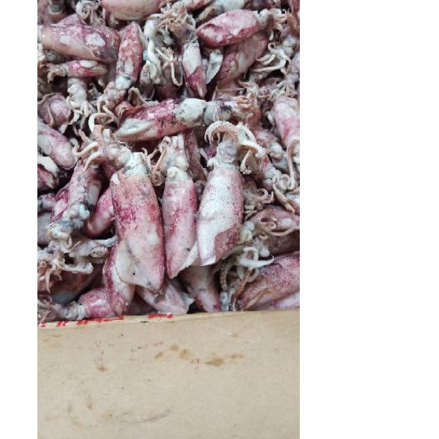 

♟ Cumi asin 1kg Termurah/cumi asin rebus/ikan asin cumi ♢