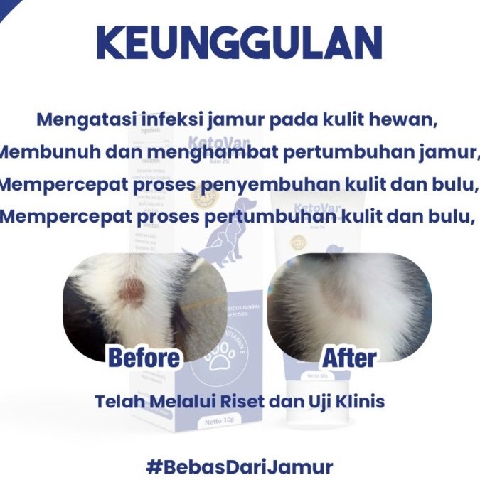 ketovar anti jamur kucing anjing perawatan bulu anti fungal krim salep cream