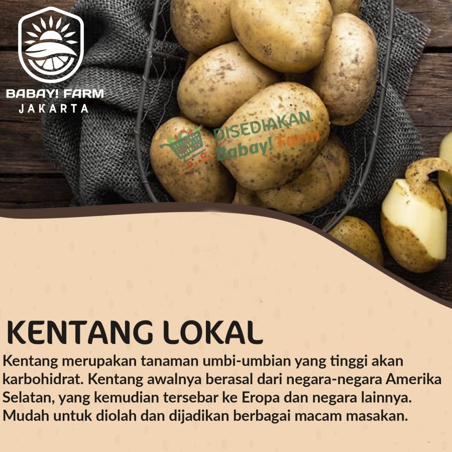 

Kentang Lokal Segar 500 gr / 1 kg