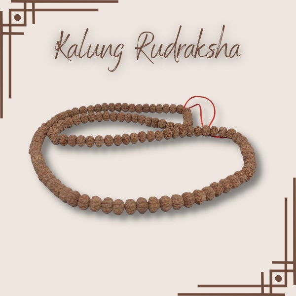 Kalung Jenintri | Kalung Rudraksha