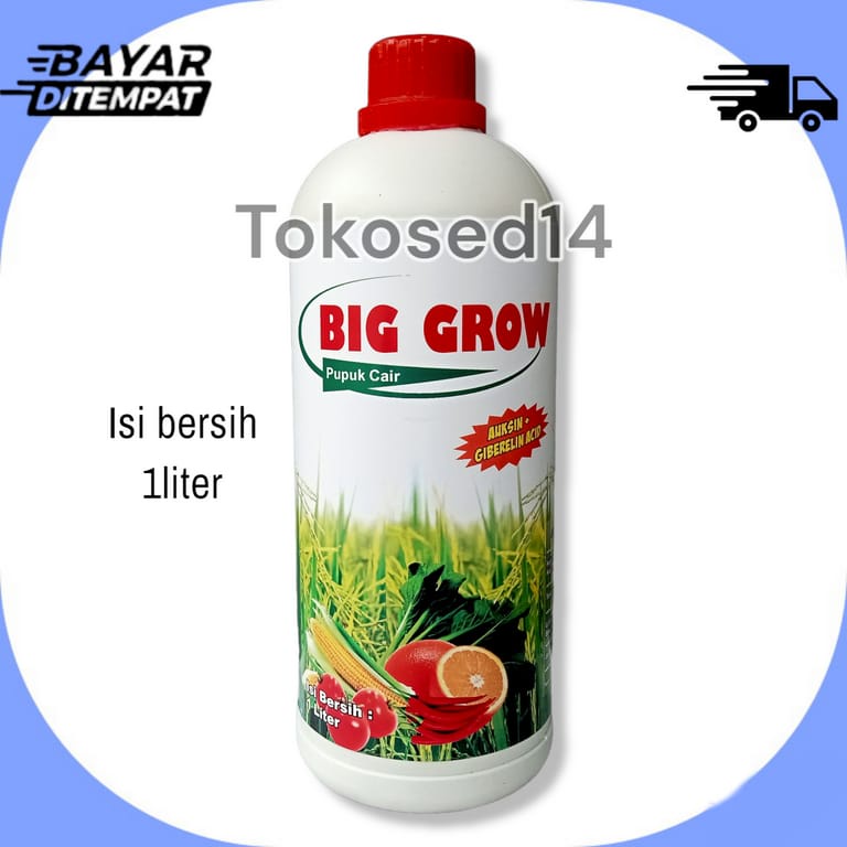 BIG GROW  penumbuh dan  pembesar buah zpt tanaman excitant fruit future generative plant stimulant f