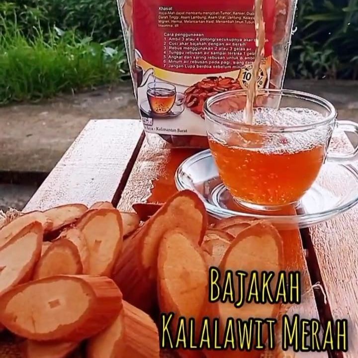 

[TERBARU DAN TERLARIS] Akar kayu bajakah asli kalimantan / teh herbal bajakah
