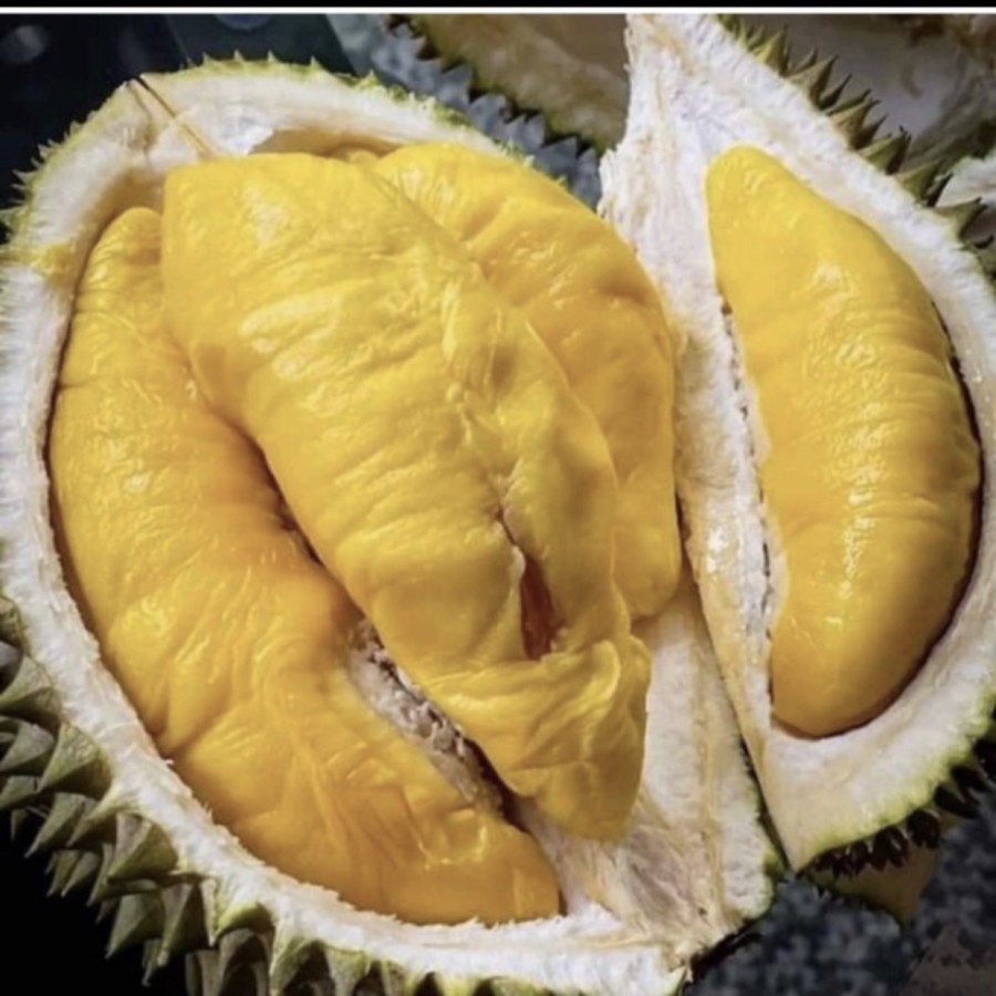 

Durian Bawor Utuh Sweet Bulat Berat 3,5 kg