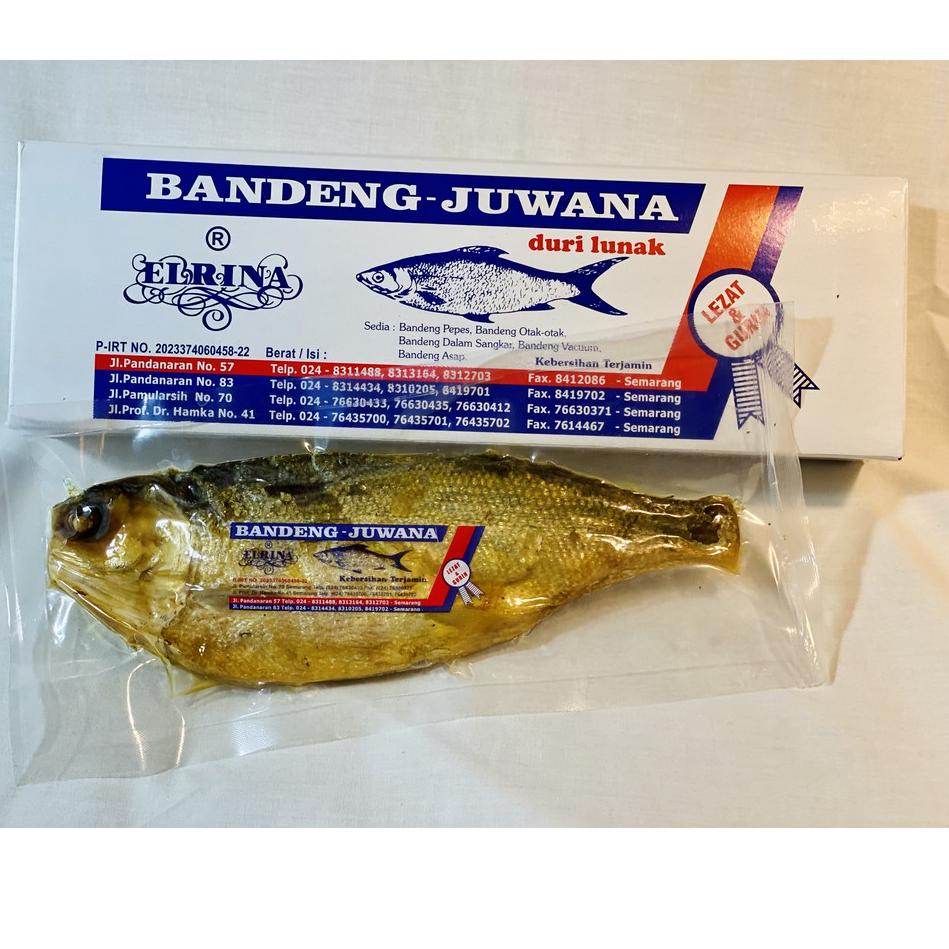 

Terbaru BJ Elrina Bandeng Vacuum Special 1 ekor (tahan 25 hari) merek Bandeng Juwana Elrina