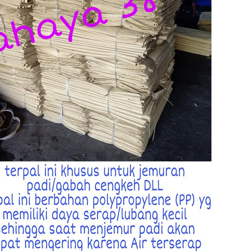 ✲ Terpal Hamparan3x4 khusus jemur padi/gabah ➹