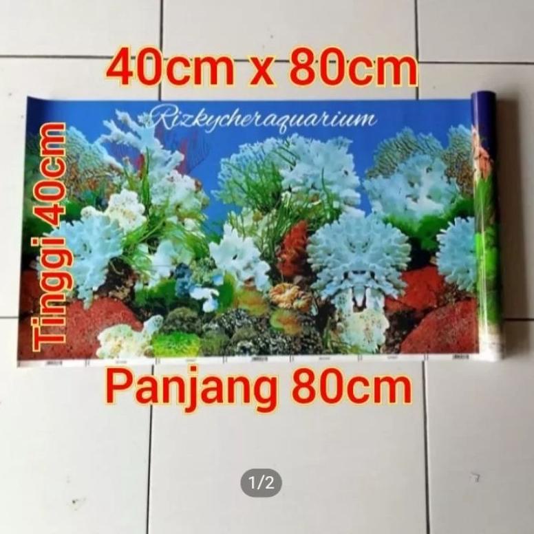 ORIGINAL% wallpaper gambar aquarium 40 X 80cm tinggi 40cm panjang 80cm