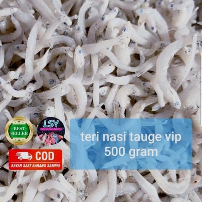 

♖ Ikan asin tn tauge vip/teri nasi size jumbo 500gr ✦