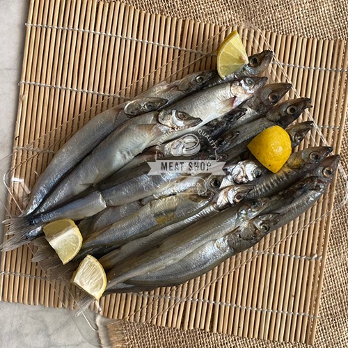 Ikan Shisamo Fish Capelin Lokal