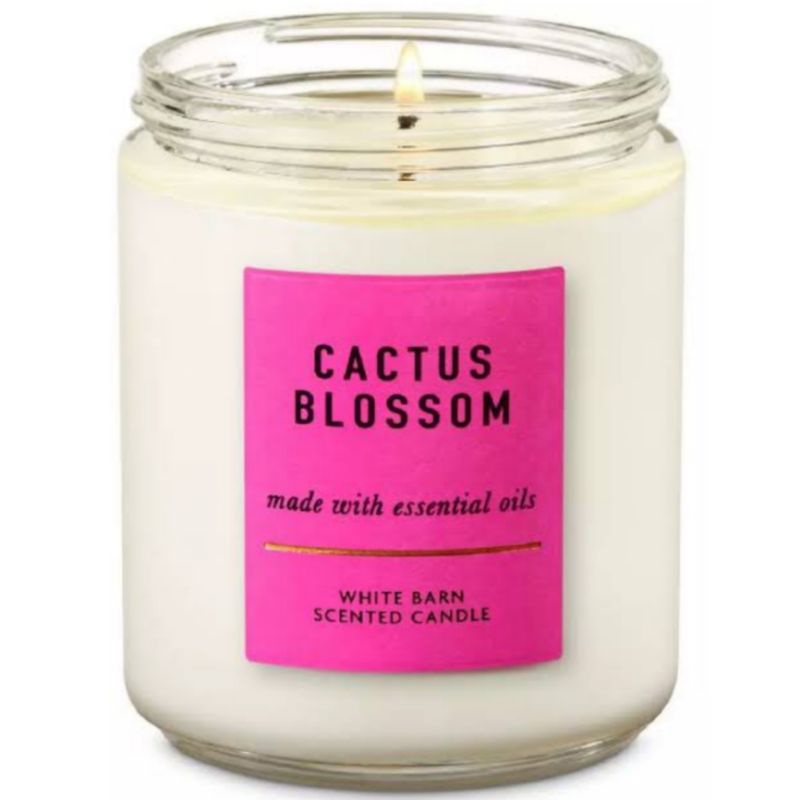 BATH AND BODY WORKS BBW CACTUS BLOSSOM SINGLE MEDIUM WICK CANDLE 198 G PENGHARUM RUANGAN