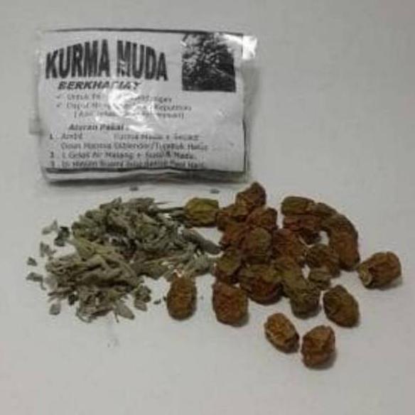 ♔ Kurma Muda Kering Plus Daun Marmia ✪