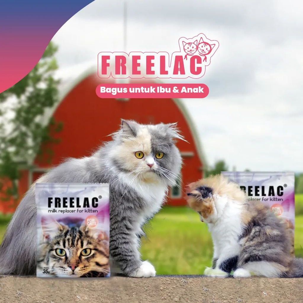 Susu Kucing Freelac 35g 1box isi 10 Free1