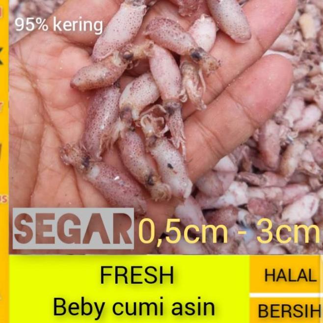 

➫ ikan asin cumi beby super ➼