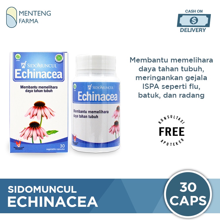 Sido Muncul Echinacea 30 Kapsul - Menjaga Imunitas Tubuh dari ISPA