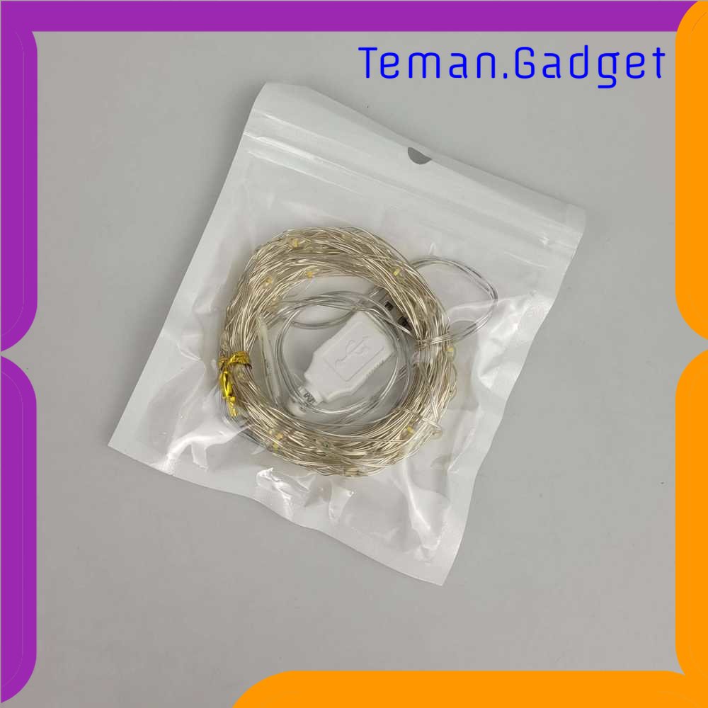 TG-LMP TaffLED Lampu Hias String Lights IP65 USB 100 LED 10 Meter Warm White - TDC-01