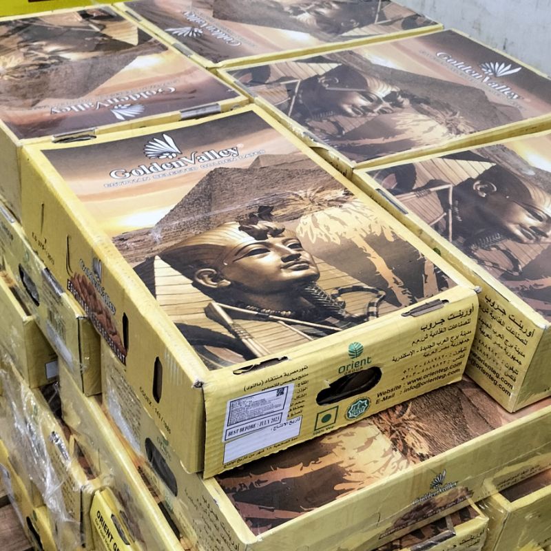 Kurma Mesir Golden Orient 10kg