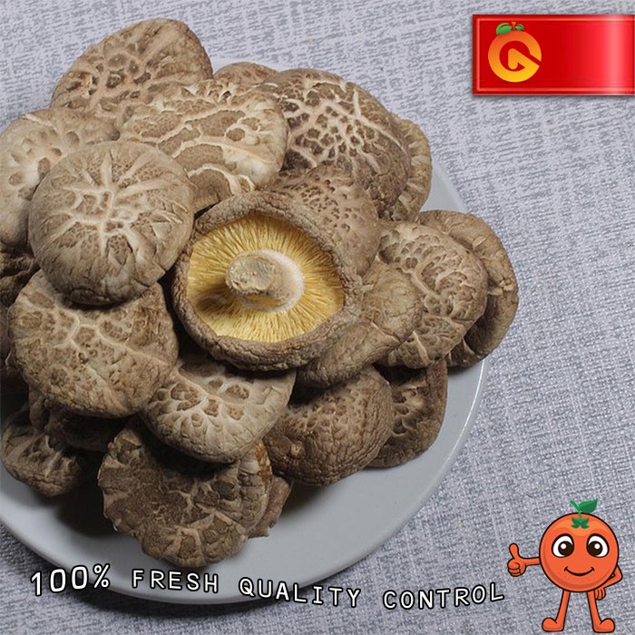 

DRIED SHITAKE MUSHROOM / JAMUR SHITAKE KERING 100 GRAM