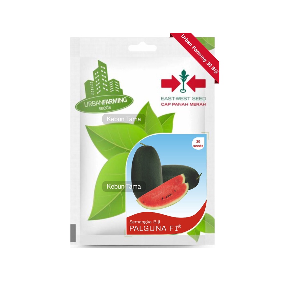 Benih Semangka Biji Palguna F1 Inul Cap Panah Merah Isi 30 Biji