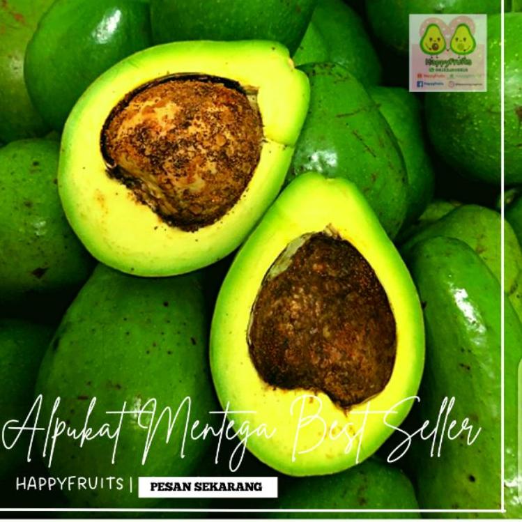 

❁ BUAH ALPUKAT MENTEGA BEST SELLER HAPPYFRUITS 2 KG ❅