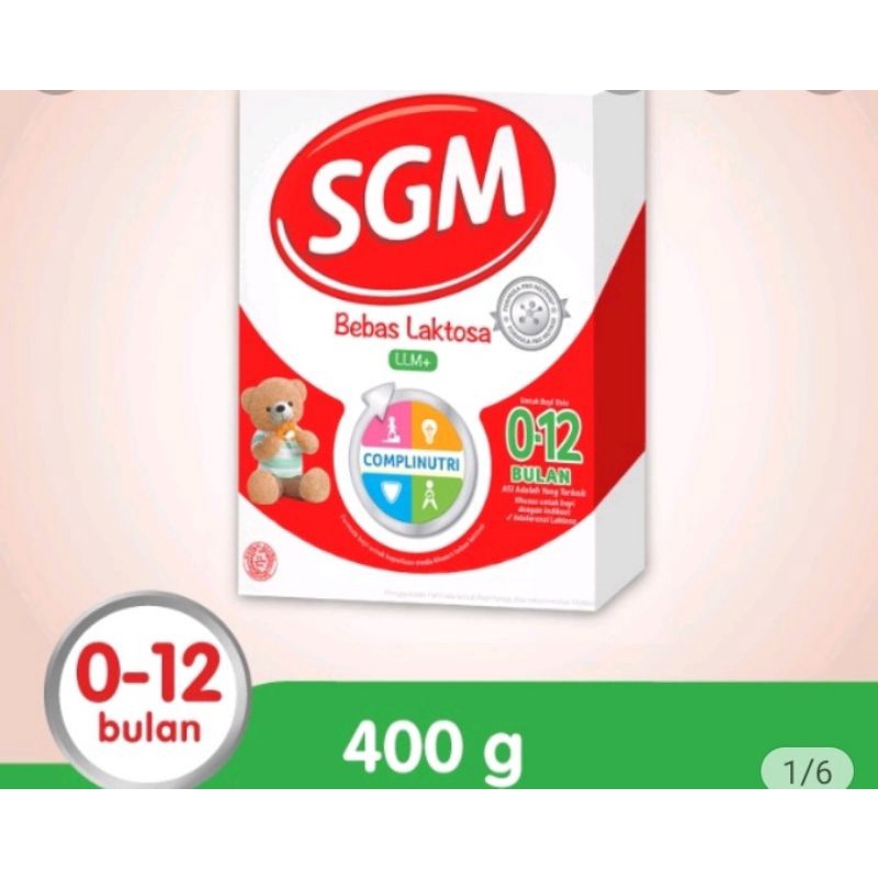 SGM(LLM)