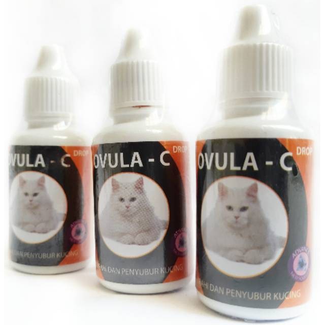 Ovula-Cat Drop (OVULA-C) adalah suplemen yang mengandung bahan herbal khusus untuk menyuburkan dan membangkitkan birahi kucing dewasa baik jantan maupun betina