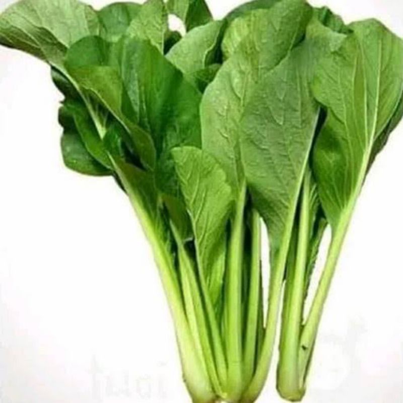 

Sayur Sawi Hijau/ Sawi Manis/Sawi Indomie 250 gr (sayuran segar)