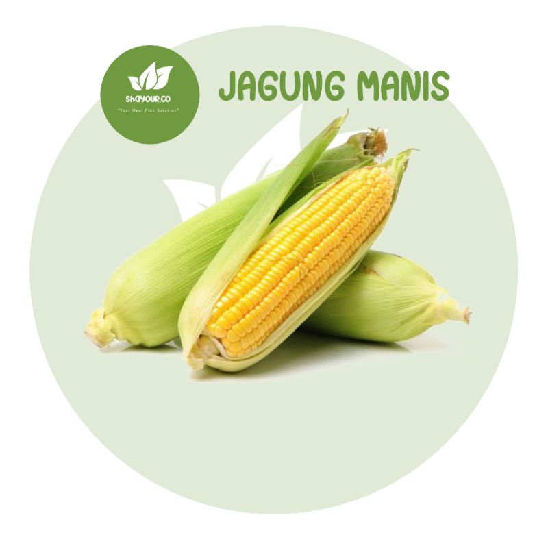 

Jagung Manis 3 pcs - shayour.co