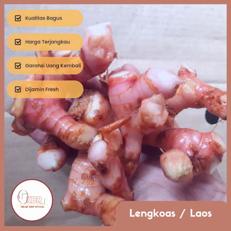 

Lengkuas 1kg / Lengkoas / Laos
