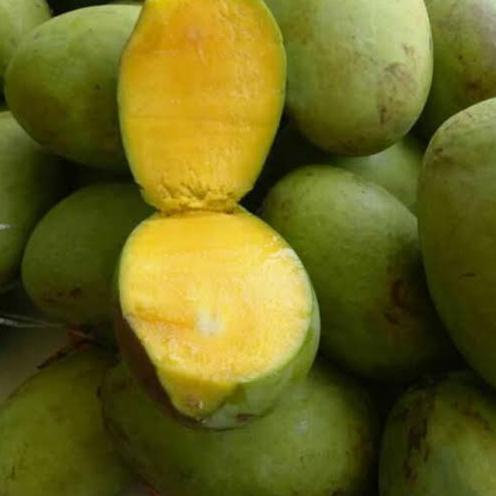 

☏ Mangga Kweni 1 Kg Segar Fresh ☚